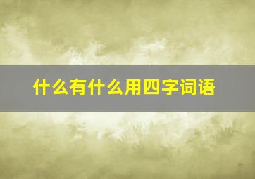 什么有什么用四字词语