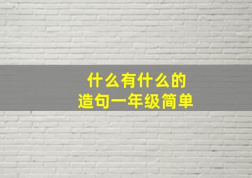 什么有什么的造句一年级简单