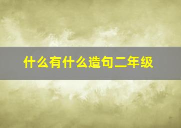 什么有什么造句二年级