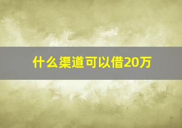 什么渠道可以借20万