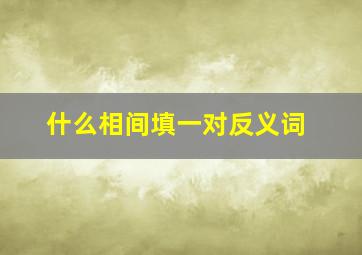 什么相间填一对反义词