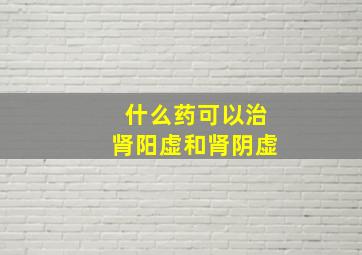 什么药可以治肾阳虚和肾阴虚