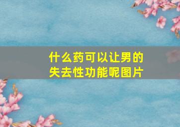 什么药可以让男的失去性功能呢图片