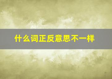 什么词正反意思不一样