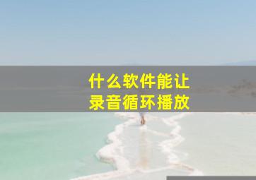 什么软件能让录音循环播放