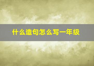 什么造句怎么写一年级