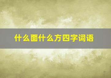 什么面什么方四字词语