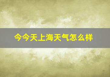 今今天上海天气怎么样