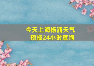 今天上海杨浦天气预报24小时查询