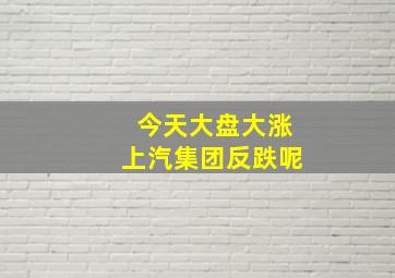 今天大盘大涨上汽集团反跌呢