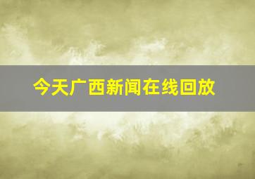 今天广西新闻在线回放