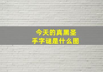 今天的真黑圣手字谜是什么图