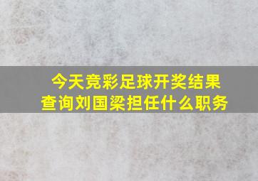 今天竞彩足球开奖结果查询刘国梁担任什么职务