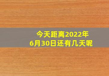 今天距离2022年6月30日还有几天呢