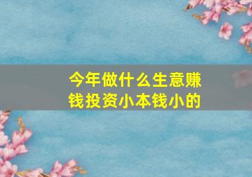 今年做什么生意赚钱投资小本钱小的