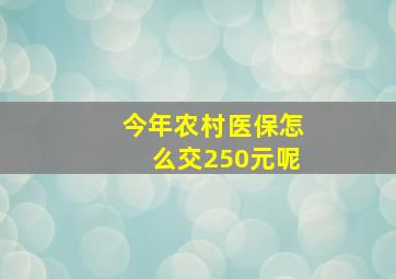 今年农村医保怎么交250元呢