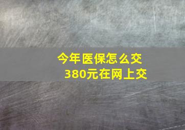 今年医保怎么交380元在网上交