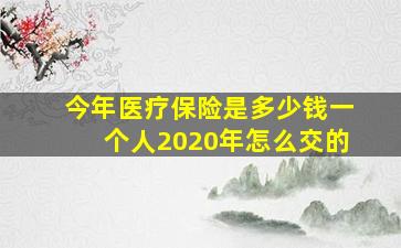 今年医疗保险是多少钱一个人2020年怎么交的