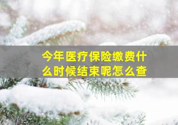 今年医疗保险缴费什么时候结束呢怎么查