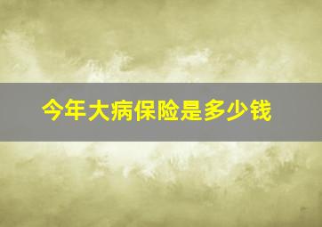 今年大病保险是多少钱