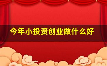 今年小投资创业做什么好