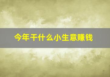 今年干什么小生意赚钱