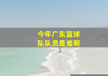 今年广东篮球队队员是谁啊