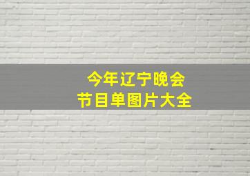 今年辽宁晚会节目单图片大全