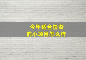 今年适合投资的小项目怎么样