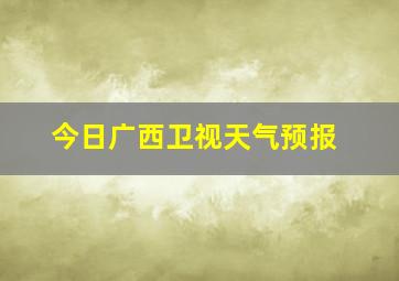 今日广西卫视天气预报