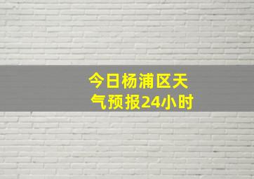 今日杨浦区天气预报24小时