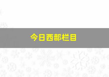 今日西部栏目