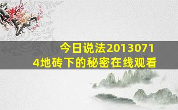 今日说法20130714地砖下的秘密在线观看