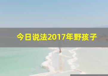 今日说法2017年野孩子