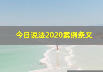 今日说法2020案例条文