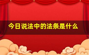 今日说法中的法条是什么