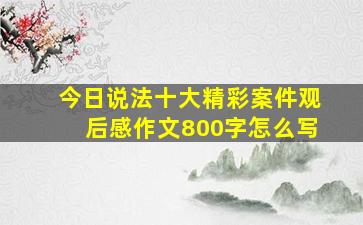 今日说法十大精彩案件观后感作文800字怎么写