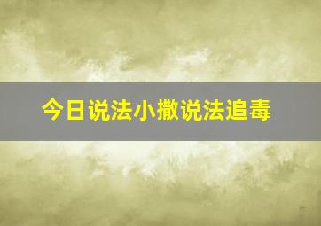 今日说法小撒说法追毒