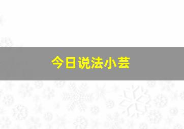 今日说法小芸