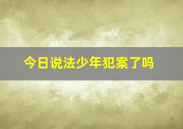 今日说法少年犯案了吗