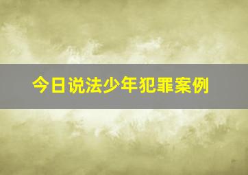 今日说法少年犯罪案例