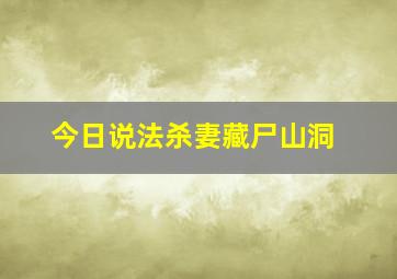 今日说法杀妻藏尸山洞