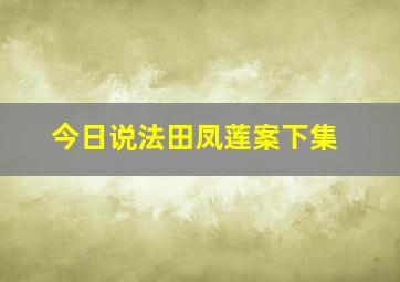 今日说法田凤莲案下集