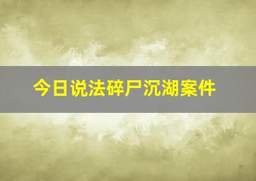 今日说法碎尸沉湖案件