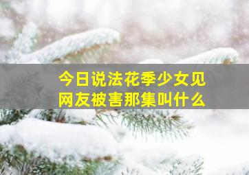 今日说法花季少女见网友被害那集叫什么