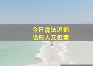 今日说法追捕隐形人又犯案