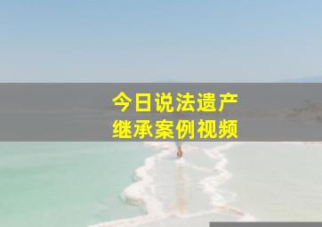 今日说法遗产继承案例视频