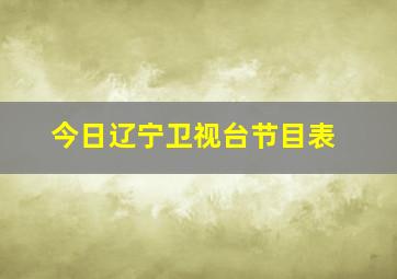 今日辽宁卫视台节目表