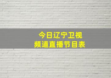 今日辽宁卫视频道直播节目表