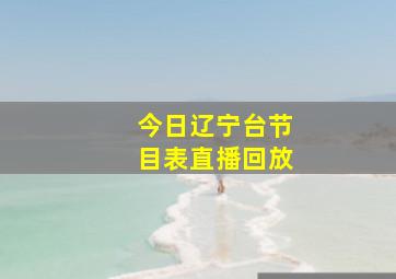 今日辽宁台节目表直播回放